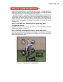 New Functional Training for Sports