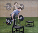 New Functional Training for Sports