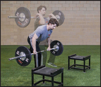 New Functional Training for Sports