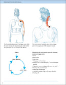 Prescriptive Stretching