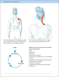 Prescriptive Stretching