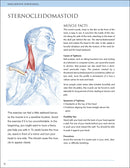 Prescriptive Stretching