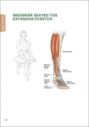 Stretching Anatomy