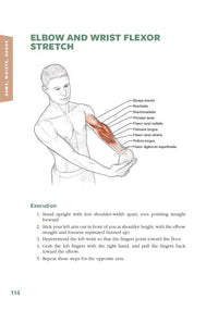 Stretching Anatomy
