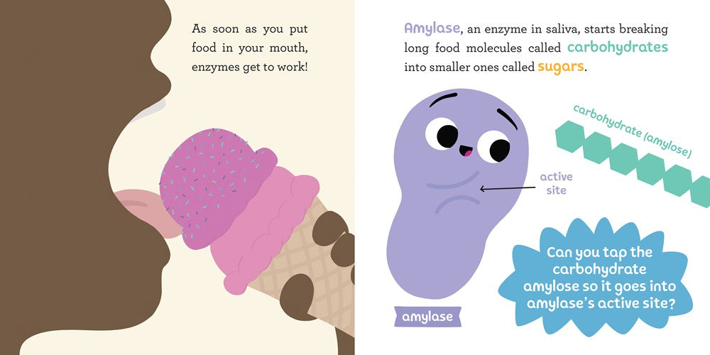 Baby Biochemist: Enzymes