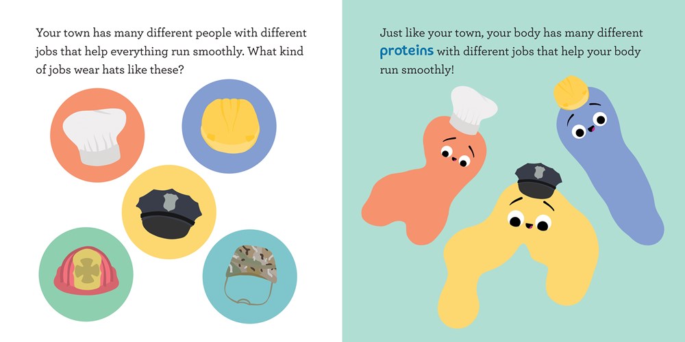 Baby Biochemist: Proteins