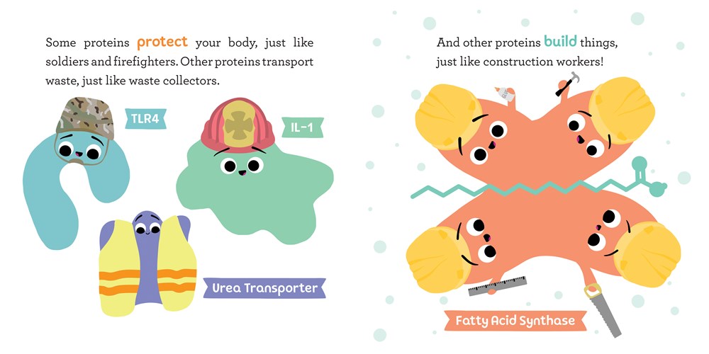 Baby Biochemist: Proteins