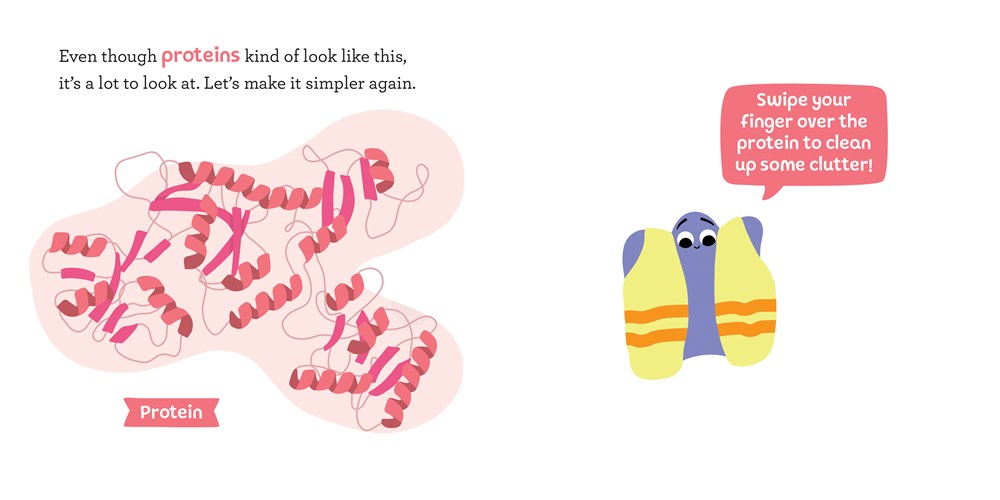 Baby Biochemist: Proteins