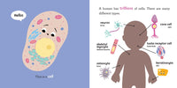Baby Biochemist: DNA