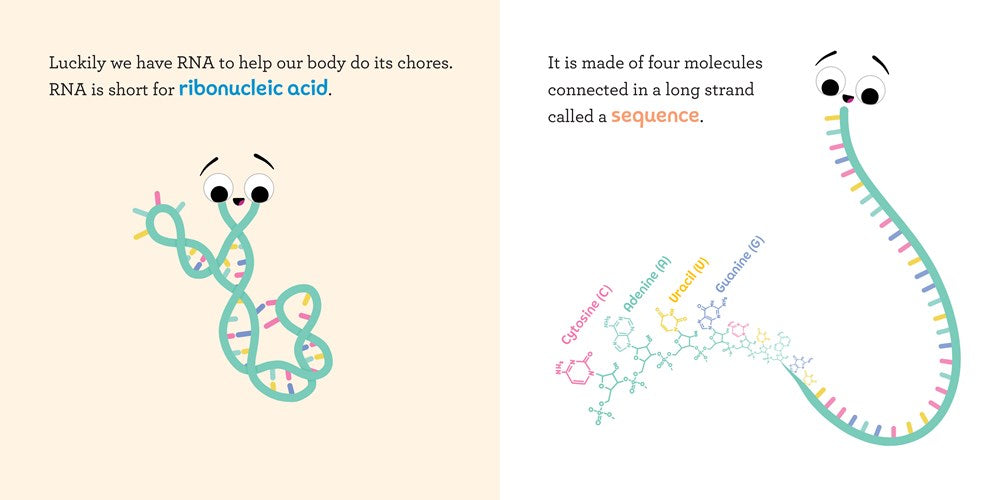 Baby Biochemist: RNA
