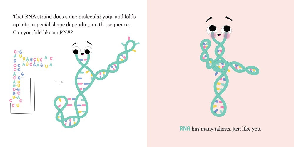 Baby Biochemist: RNA