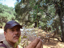 Foraging California