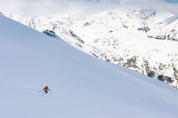 The Ski Guide Manual
