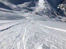 The Ski Guide Manual