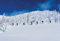 The Ski Guide Manual