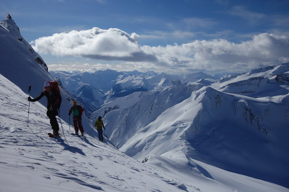 The Ski Guide Manual
