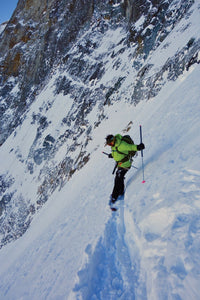 The Ski Guide Manual