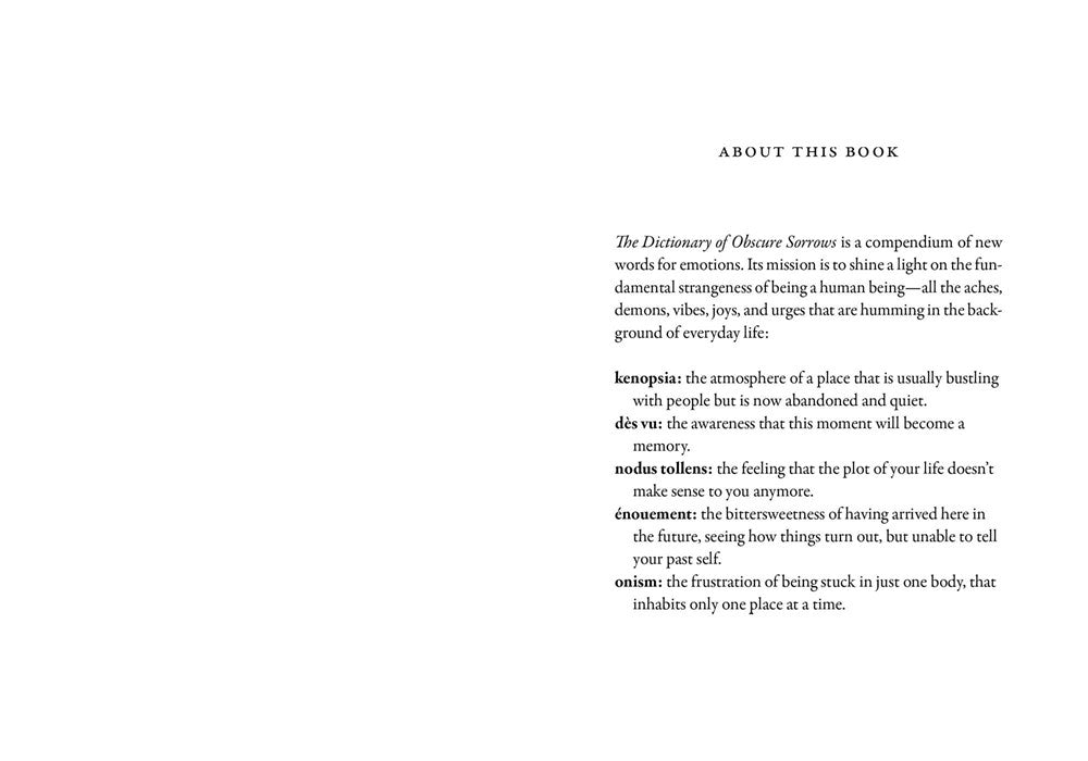 The Dictionary of Obscure Sorrows