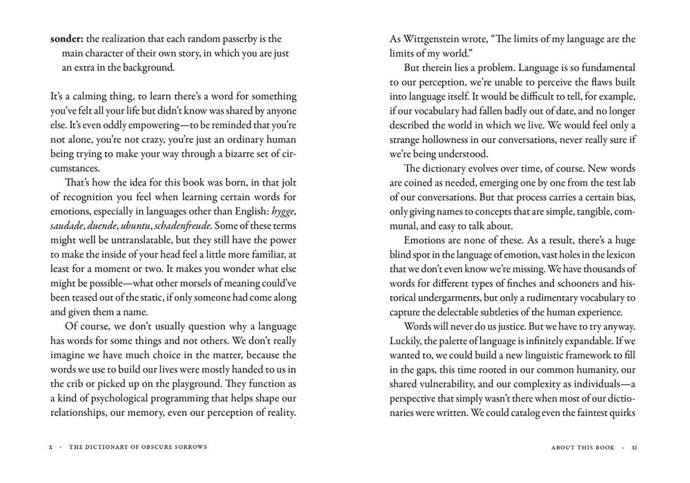 The Dictionary of Obscure Sorrows