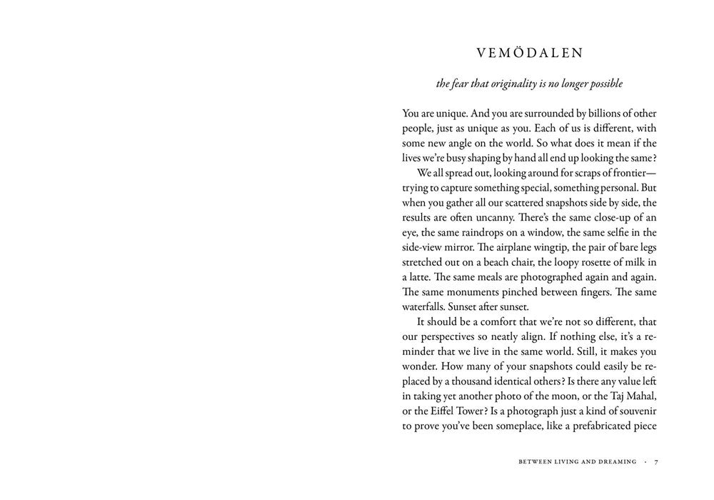 The Dictionary of Obscure Sorrows