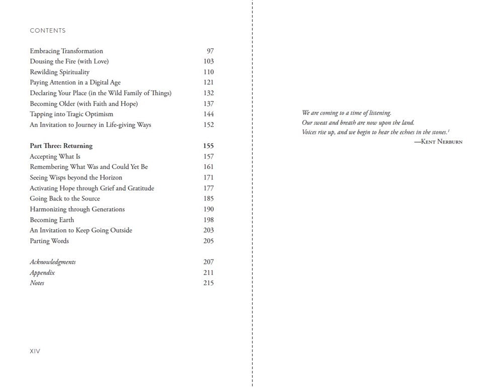 Collisions of Earth and Sky