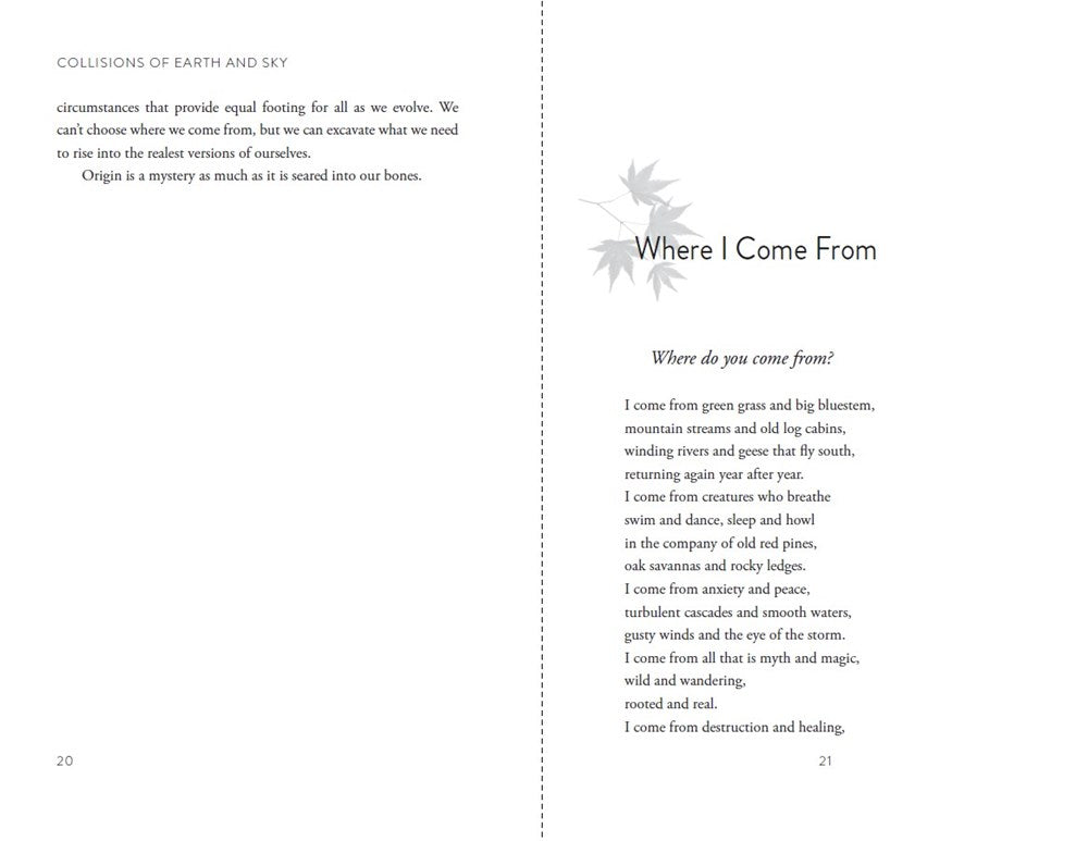 Collisions of Earth and Sky