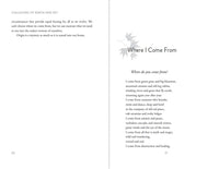 Collisions of Earth and Sky