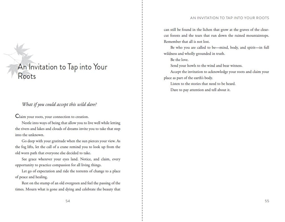 Collisions of Earth and Sky