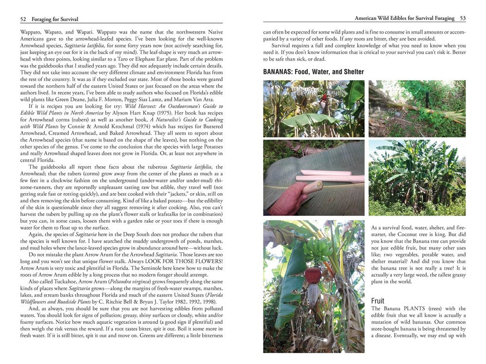 Foraging for Survival