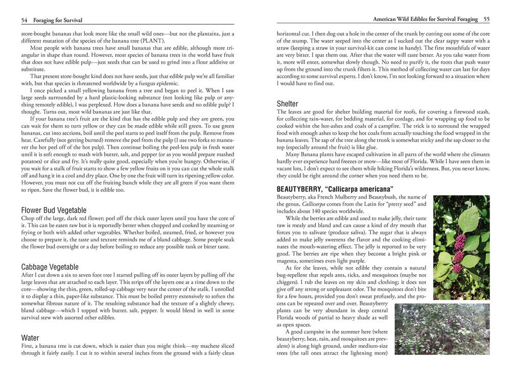 Foraging for Survival