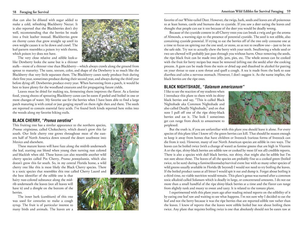 Foraging for Survival