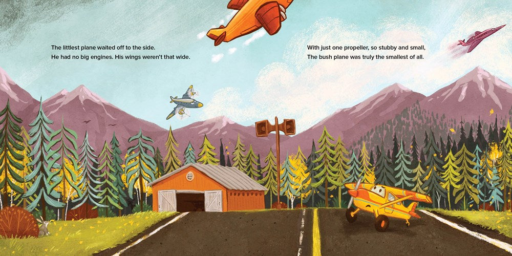 The Littlest Airplane