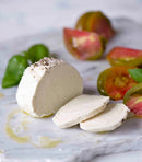 One-Hour Dairy-Free Cheese