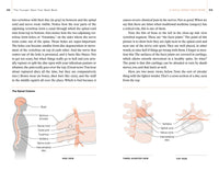 The Younger Next Year Back Book