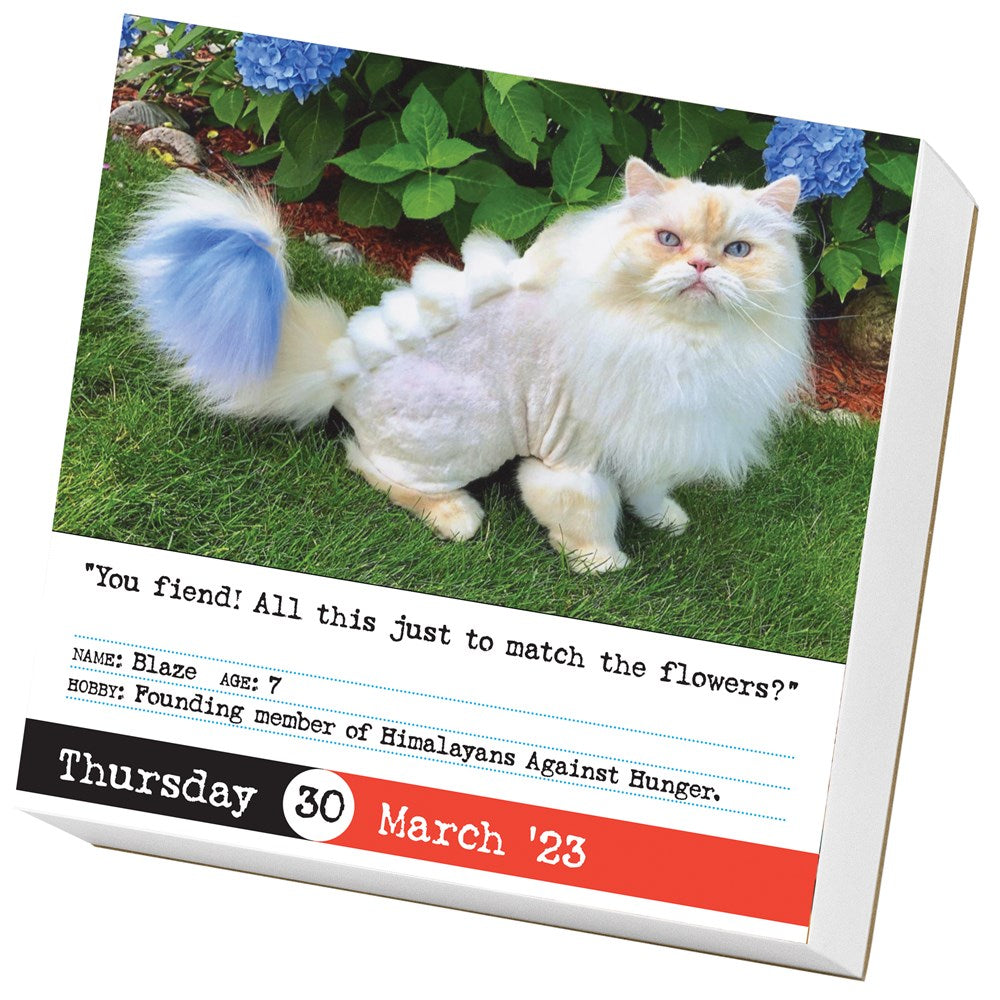 Bad Cat Page-A-Day Calendar 2023