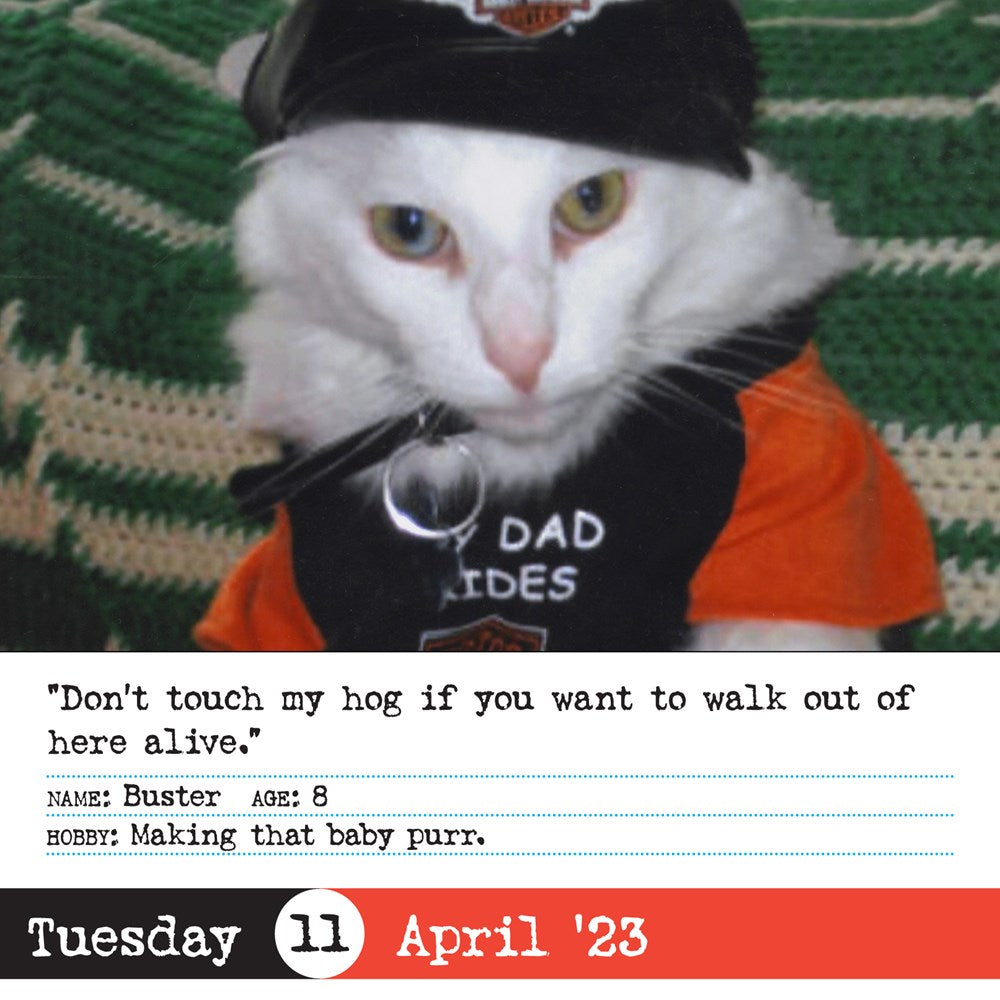 Bad Cat Page-A-Day Calendar 2023