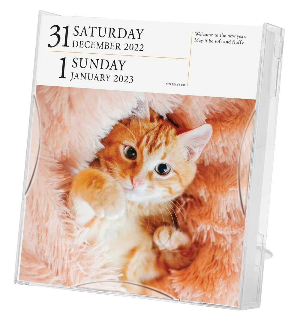 Cat Page-A-Day Gallery Calendar 2023