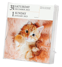 Cat Page-A-Day Gallery Calendar 2023