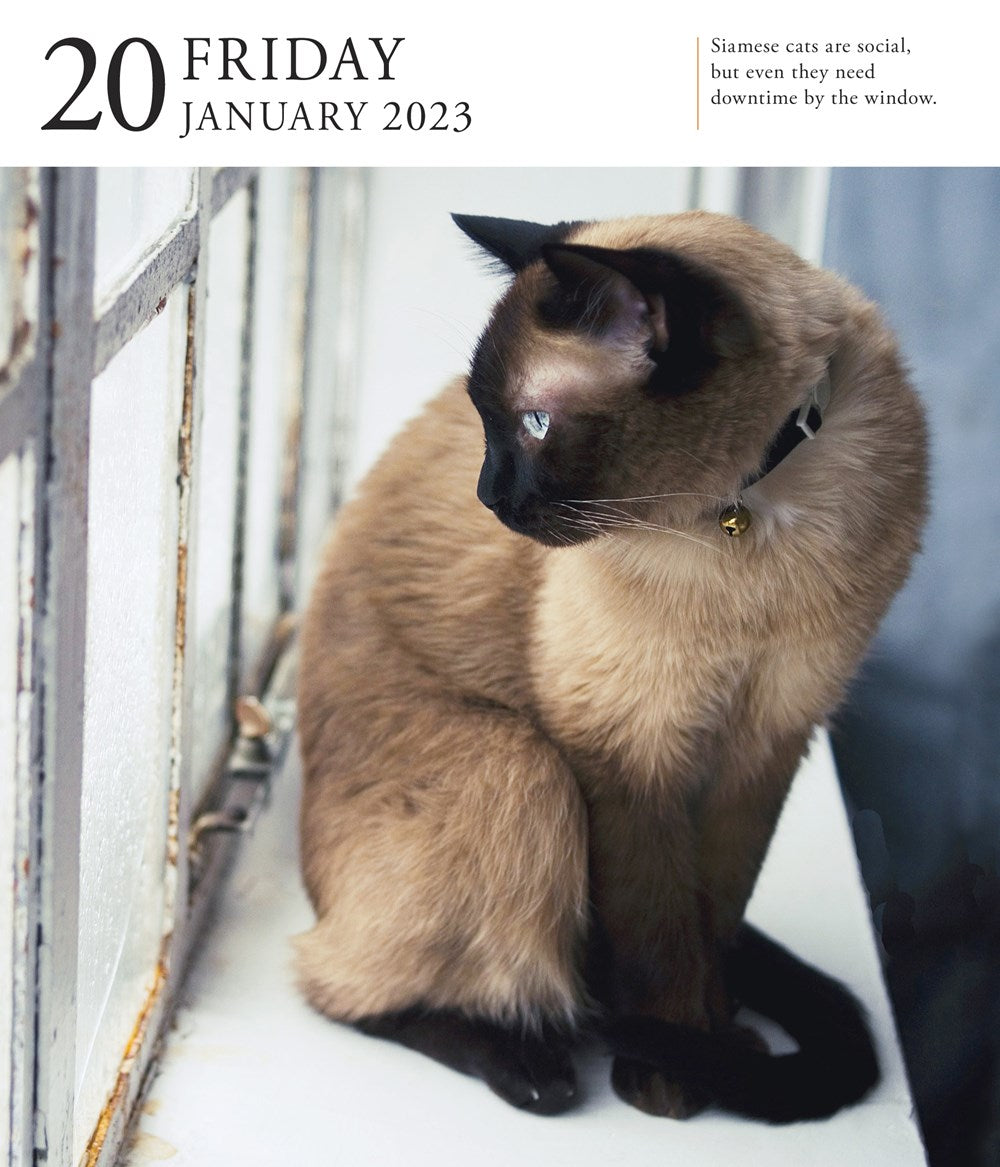 Cat Page-A-Day Gallery Calendar 2023