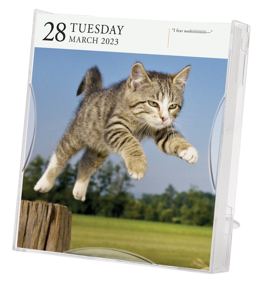 Cat Page-A-Day Gallery Calendar 2023