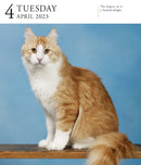 Cat Page-A-Day Gallery Calendar 2023