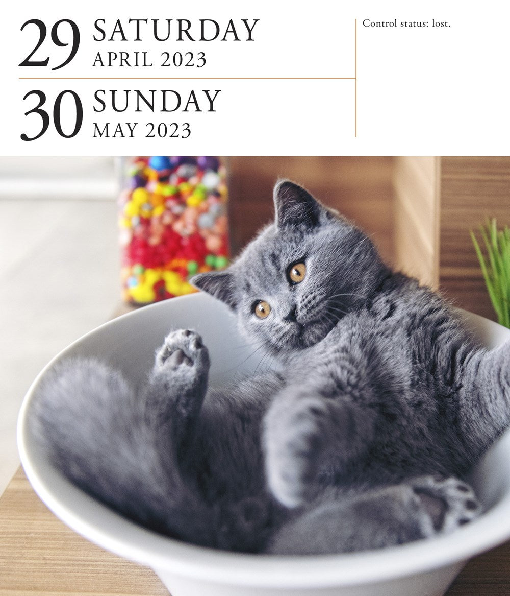 Cat Page-A-Day Gallery Calendar 2023