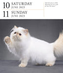 Cat Page-A-Day Gallery Calendar 2023