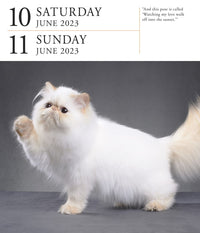 Cat Page-A-Day Gallery Calendar 2023