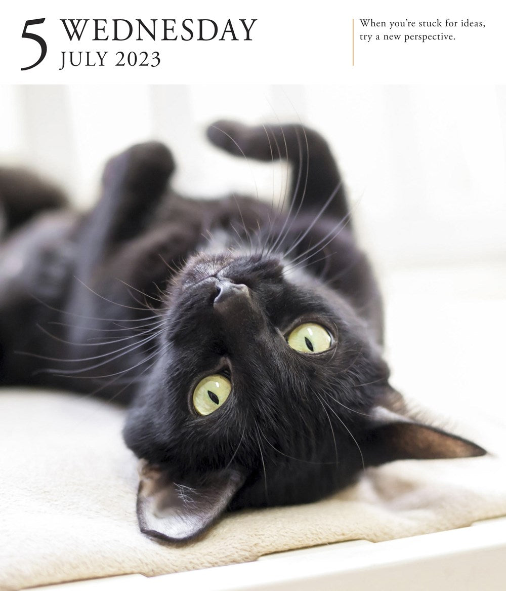 Cat Page-A-Day Gallery Calendar 2023