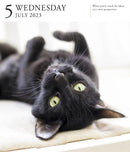 Cat Page-A-Day Gallery Calendar 2023
