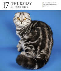 Cat Page-A-Day Gallery Calendar 2023