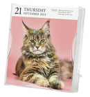 Cat Page-A-Day Gallery Calendar 2023