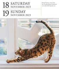 Cat Page-A-Day Gallery Calendar 2023