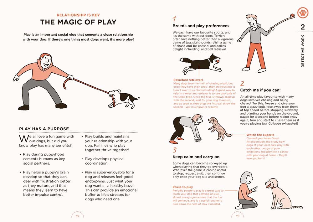 What Dogs Want
